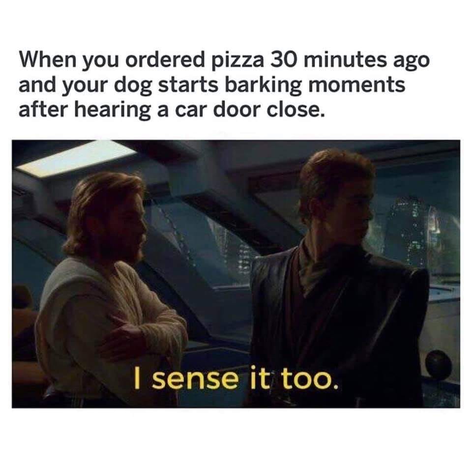 This meme is a humorous take on a common situation where someone is startled by a loud noise, in this case, a dog barking. The text "In 2-3 sentences, describe this meme for someone who cannot see it" is a tongue-in-cheek reference to the fact that the meme is describing itself. The meme is likely a image of a person looking startled, with the caption "When you're eating pizza and your dog suddenly barks loudly" or something similar.